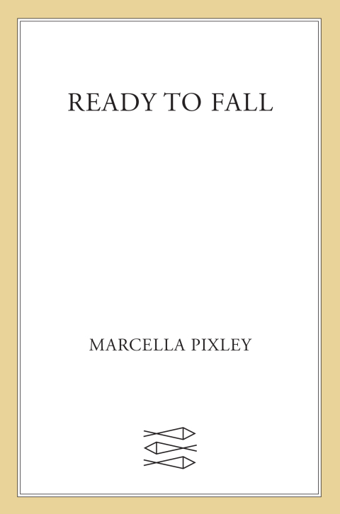 Cover image for book Ready to Fall