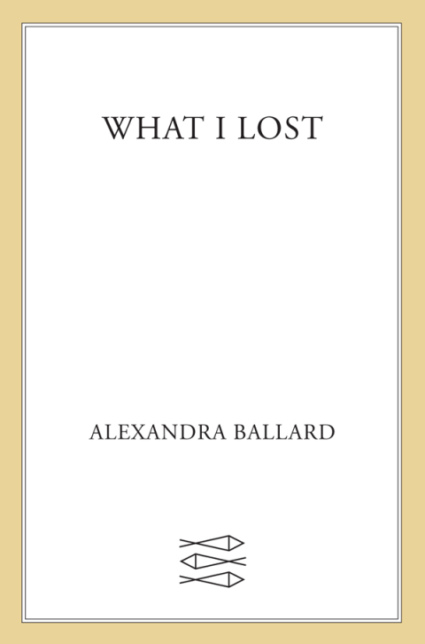 Cover image for book What I Lost