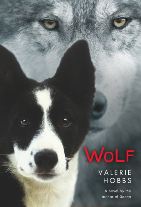Cover image for book Wolf