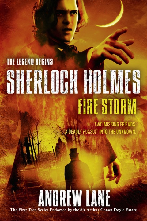 Cover image for book Fire Storm