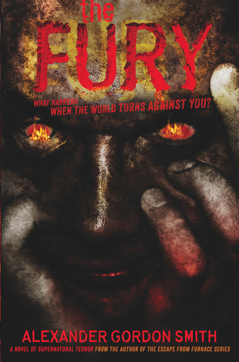Cover image for book The Fury