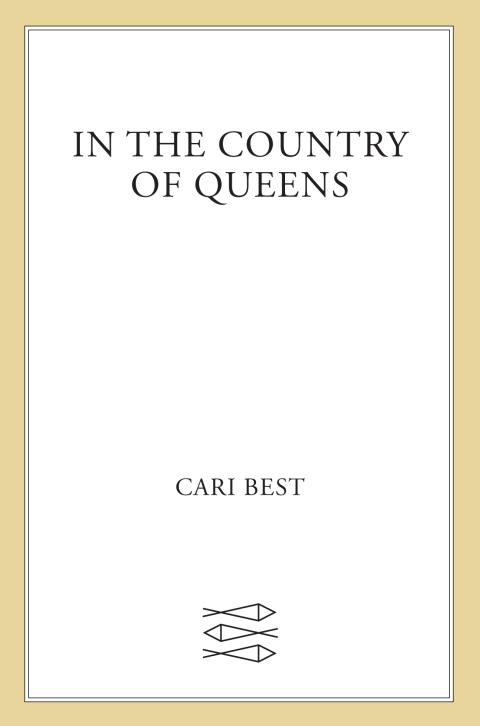 Cover image for book In the Country of Queens