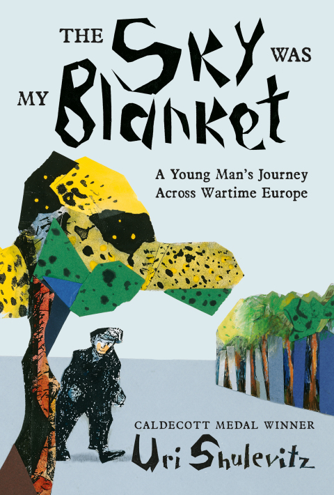 Cover image for book The Sky Was My Blanket