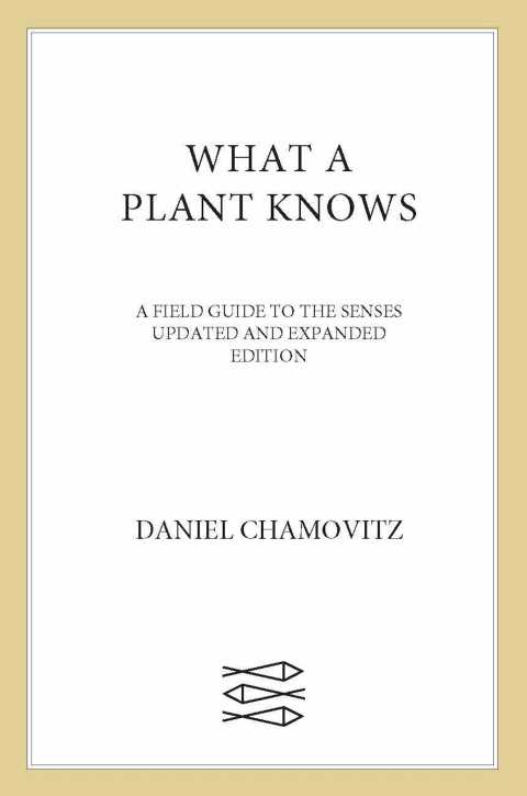 Cover image for book What a Plant Knows