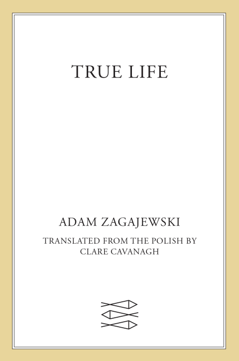 Cover image for book True Life