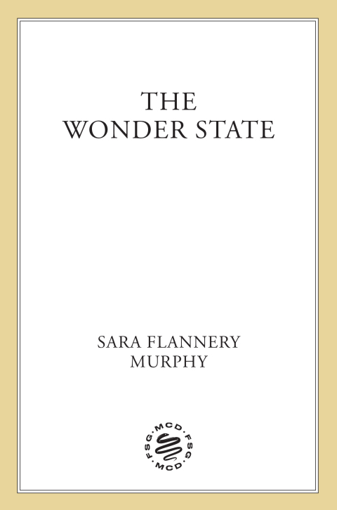 Cover image for book The Wonder State
