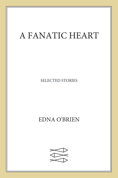 Cover image for book A Fanatic Heart