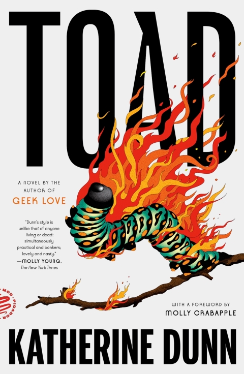 Cover image for book Toad