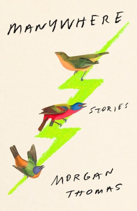 Cover image for book Manywhere