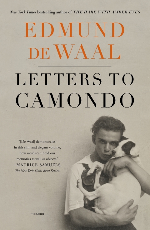 Cover image for book Letters to Camondo