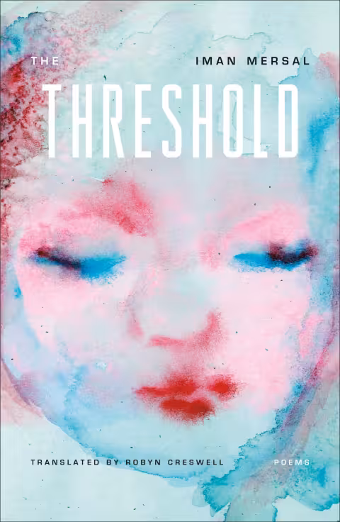 Cover image for book The Threshold