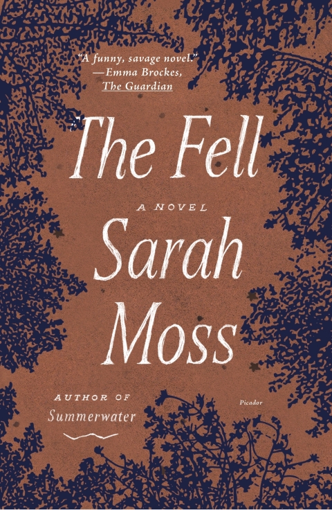 Cover image for book The Fell