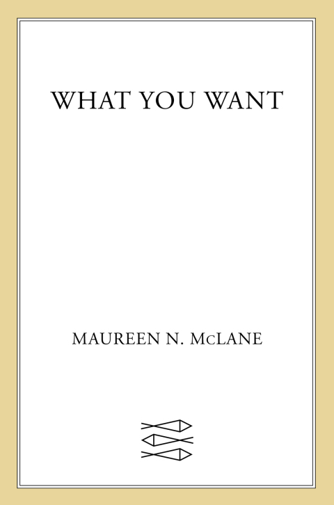 Cover image for book What You Want