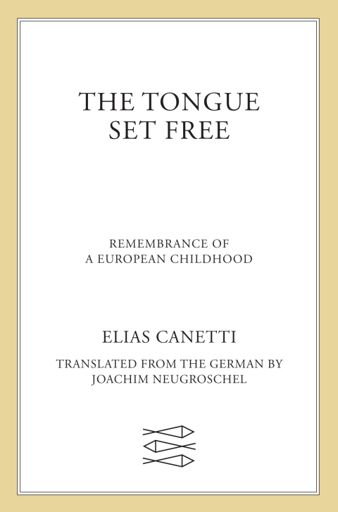 Cover image for book The Tongue Set Free