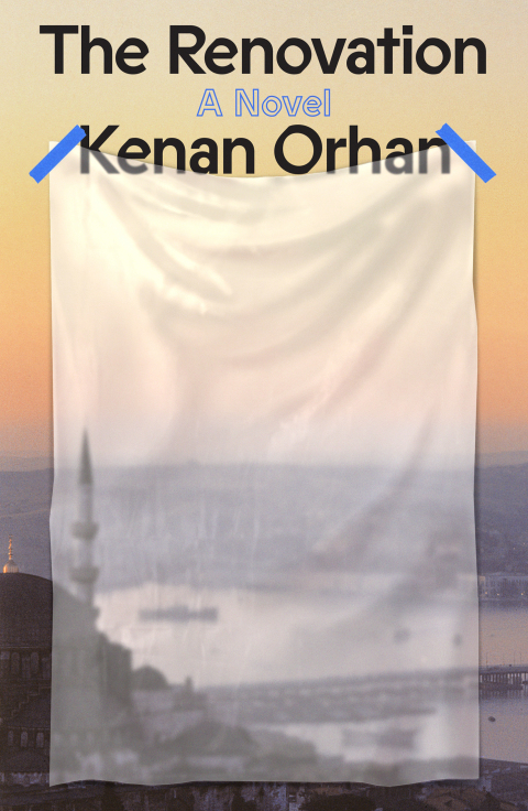 Cover image for book The Renovation