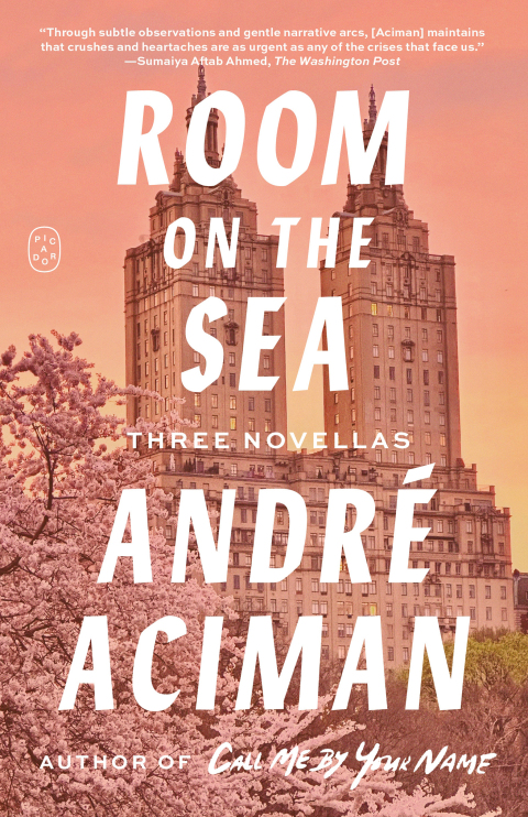 Cover image for book Room on the Sea