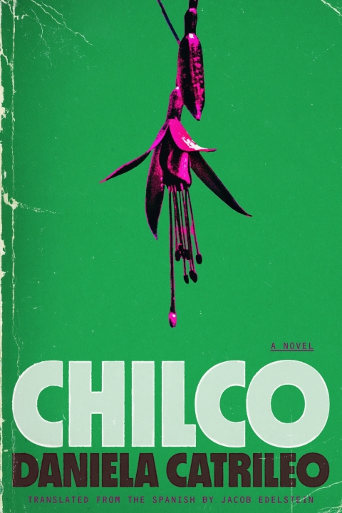 Cover image for book Chilco
