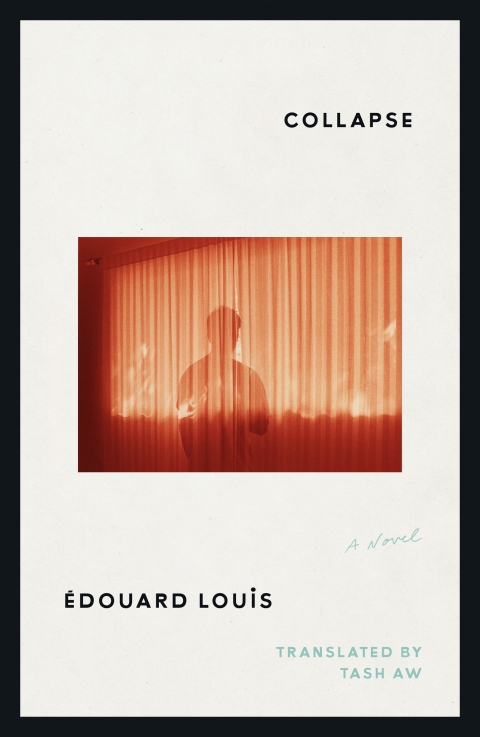 Cover image for book Collapse