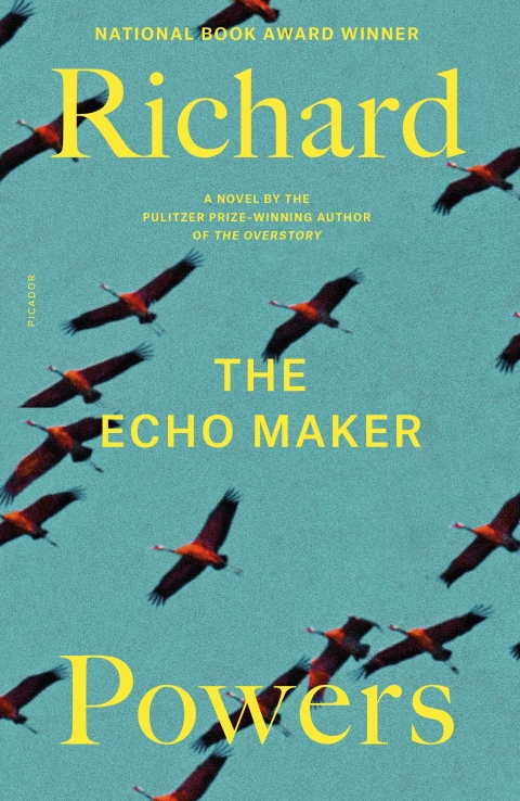 Cover image for book The Echo Maker