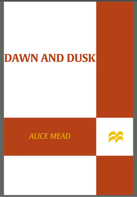 Cover image for book Dawn and Dusk