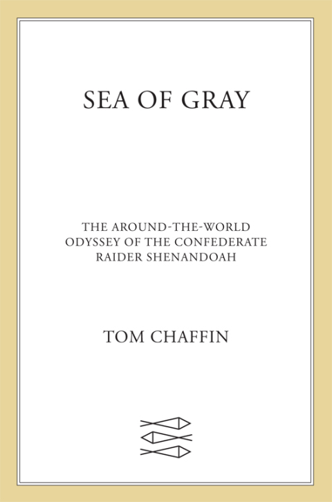 Cover image for book Sea of Gray