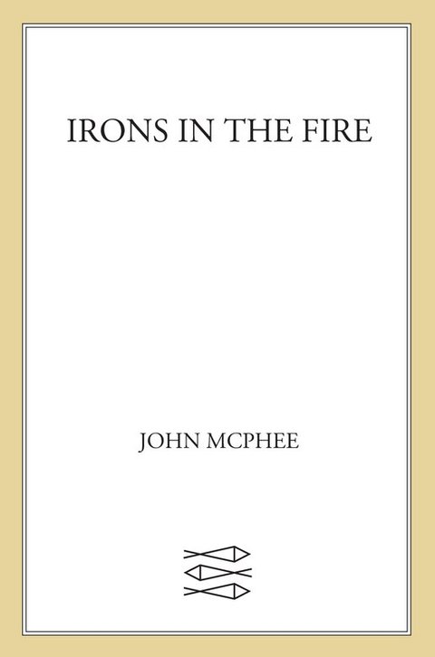 Cover image for book Irons in the Fire