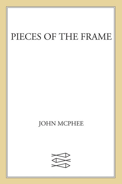 Cover image for book Pieces of the Frame