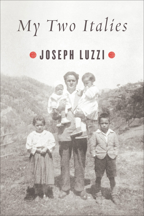 Cover image for book My Two Italies