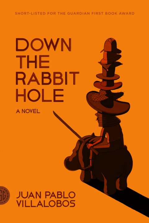Cover image for book Down the Rabbit Hole