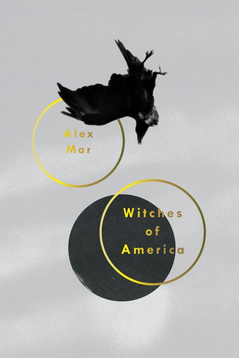 Cover image for book Witches of America