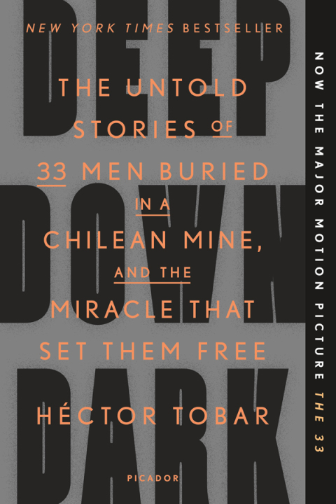 Cover image for book Deep Down Dark