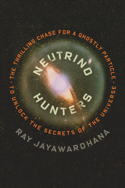 Cover image for book Neutrino Hunters