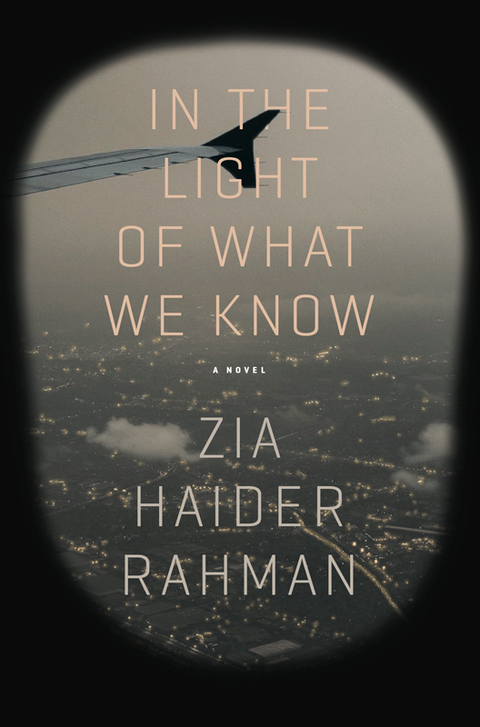 Cover image for book In the Light of What We Know