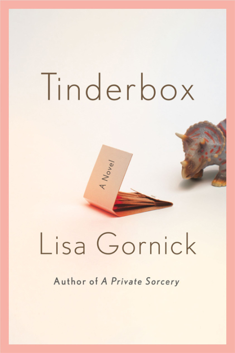 Cover image for book Tinderbox