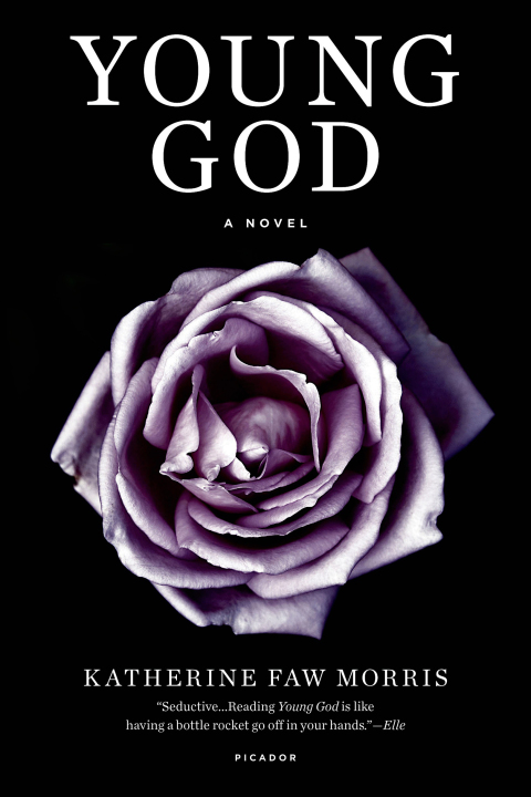 Cover image for book Young God
