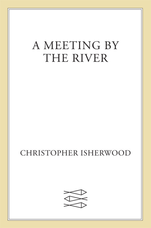 Cover image for book A Meeting by the River