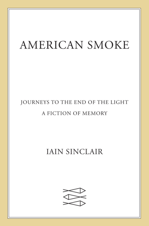 Cover image for book American Smoke