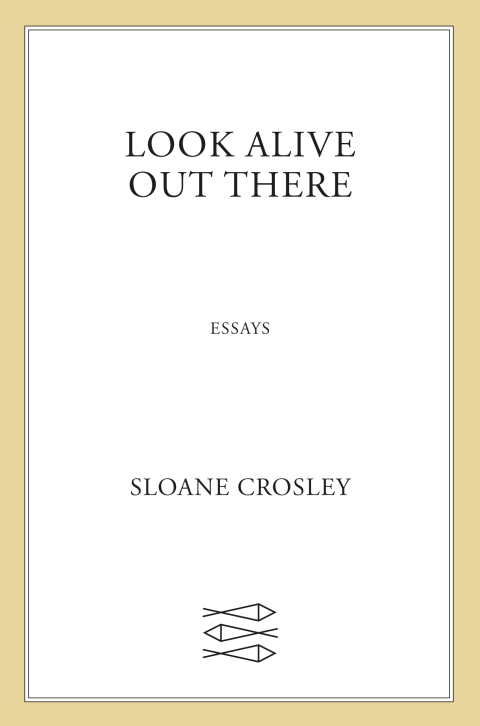 Cover image for book Look Alive Out There