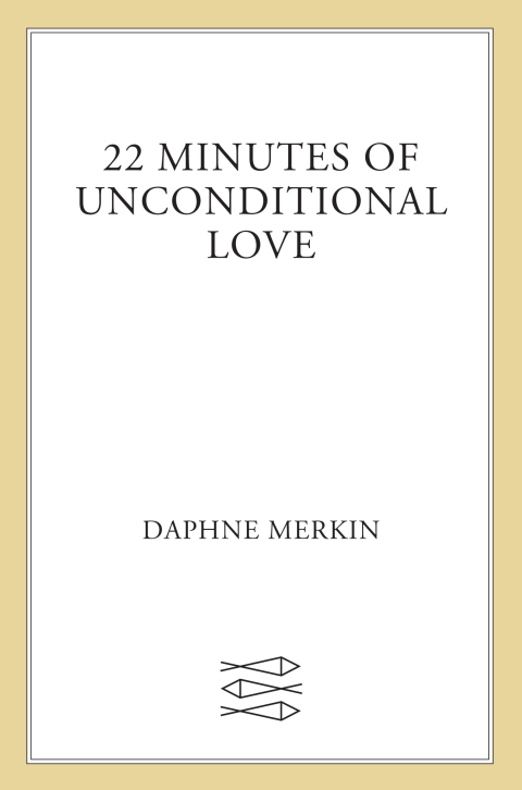 Cover image for book 22 Minutes of Unconditional Love