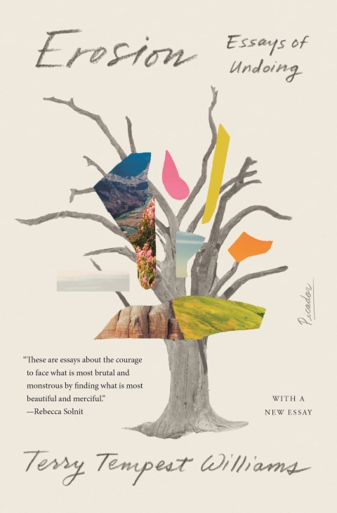Cover image for book Erosion