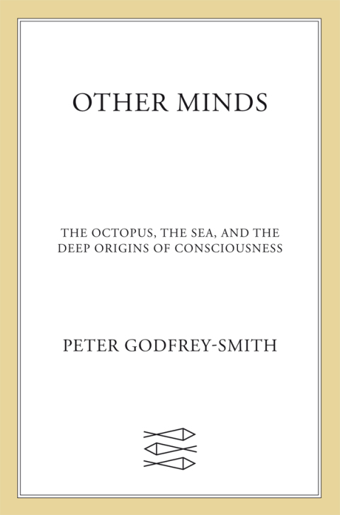 Cover image for book Other Minds