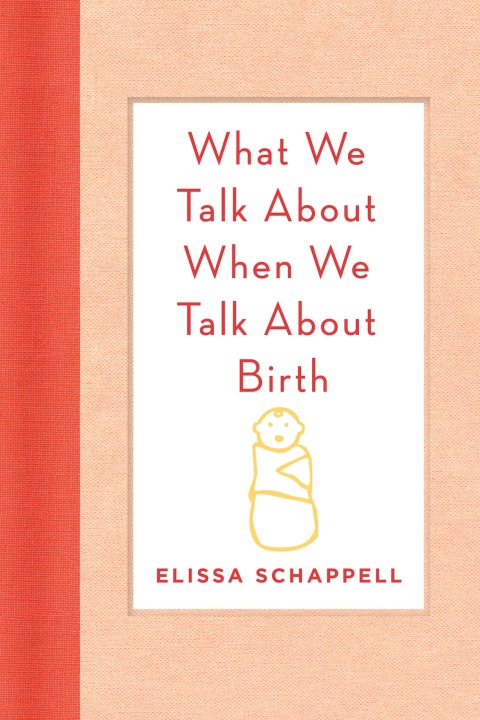 Cover image for book What We Talk About When We Talk About Birth