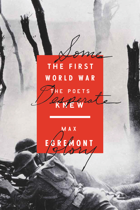 Cover image for book Some Desperate Glory