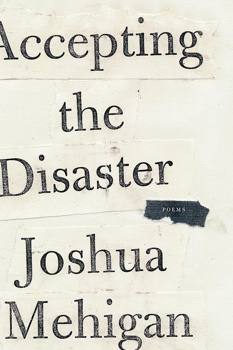 Cover image for book Accepting the Disaster