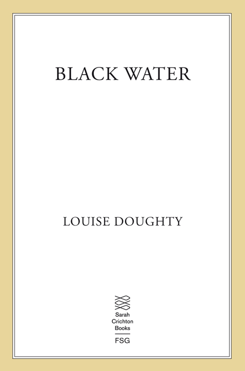Cover image for book Black Water