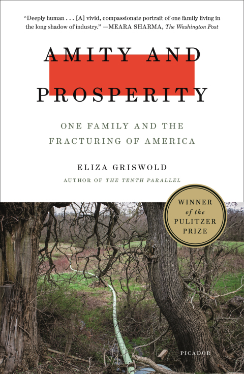 Cover image for book Amity and Prosperity