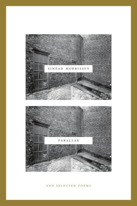 Cover image for book Parallax