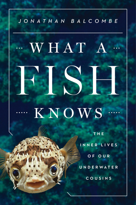 Cover image for book What a Fish Knows