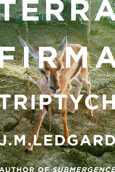 Cover image for book Terra Firma Triptych
