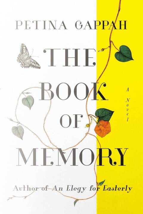 Cover image for book The Book of Memory